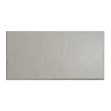 tile-village-flat-metro-light-grey-gloss-ceramic-wall-tile-100×200